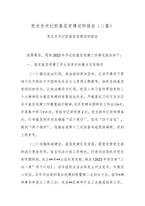 党总支书记抓基层党建述职报告(二篇).docx