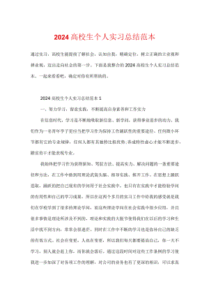2024大学生个人实习总结范本.docx