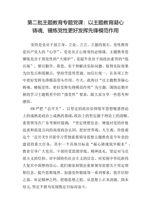 第二批主题教育专题党课：以主题教育凝心铸魂、锤炼党性 更好发挥先锋模范作用.docx
