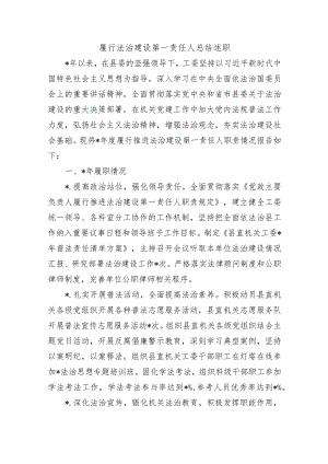 履行法治建设第一责任人总结述职.docx