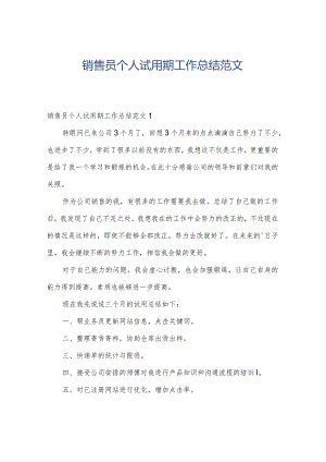 销售员个人试用期工作总结范文.docx