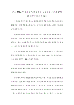 学习2024年《政府工作报告》为民营企业创造健康成长的平台心得体会.docx
