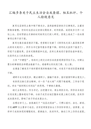 汇编多条关于民主生活会自我查摆、相互批评、个人检视意见.docx