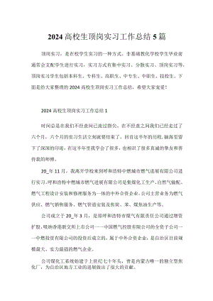 2024大学生顶岗实习工作总结5篇.docx
