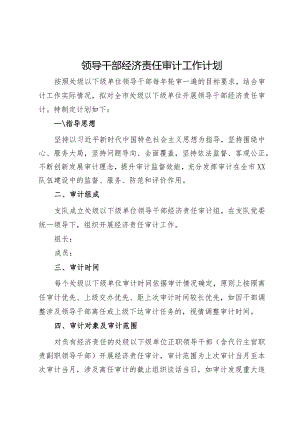 领导干部经济责任审计工作计划.docx