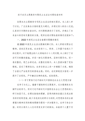 班子成员主题教育专题民主生活会对照检查材料.docx