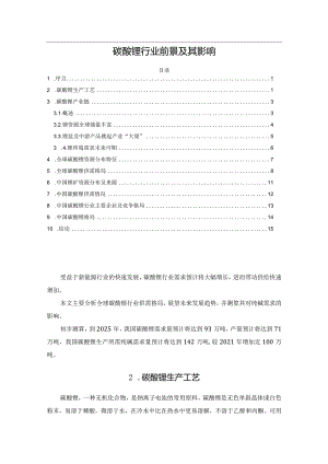 碳酸锂行业前景及其影响.docx