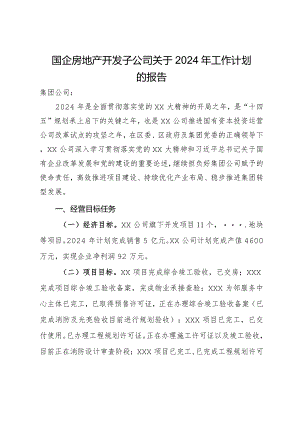 国企房地产开发子公司关于2024年工作计划的报告.docx