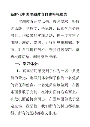 新时代中国主题教育自我检视报告.docx