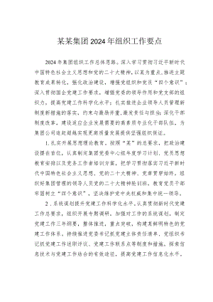 某某集团2024年组织工作要点.docx