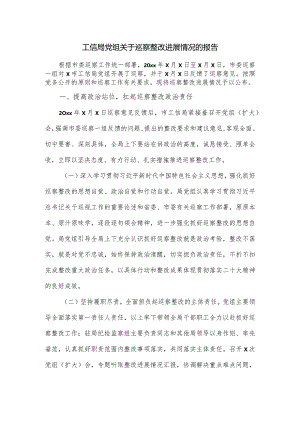 工信局党组关于巡察整改进展情况的报告.docx