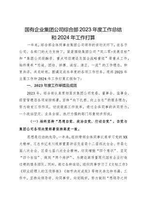 国有企业集团公司综合部2023年度工作总结和2024年工作打算.docx