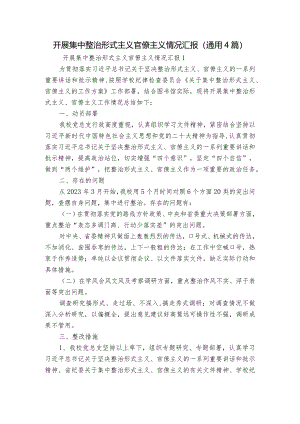 开展集中整治形式主义官僚主义情况汇报(通用4篇).docx