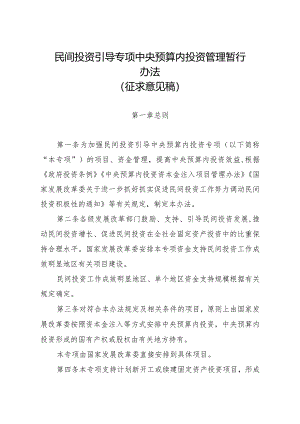 民间投资引导专项中央预算内投资管理暂行办法（2024）.docx