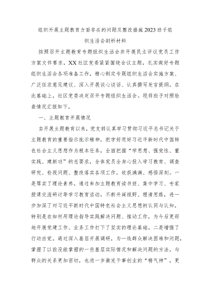 组织开展主题教育方面存在的问题及整改措施2023班子组织生活会剖析材料.docx