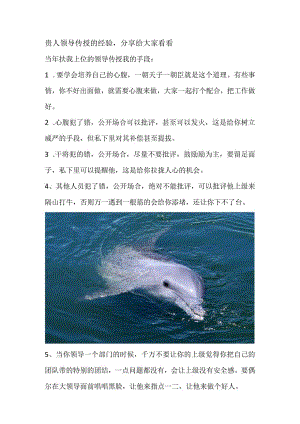 贵人领导传授的经验分享给大家看看.docx