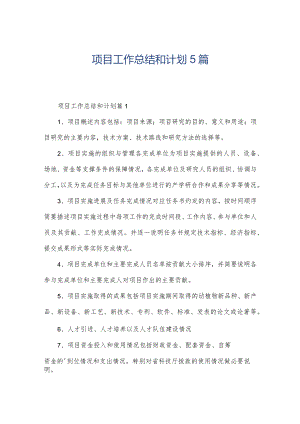 项目工作总结和计划5篇.docx