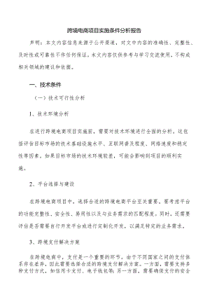 跨境电商项目实施条件分析报告.docx