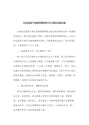 纪检监察干部教育整顿学习心得体会集合篇.docx