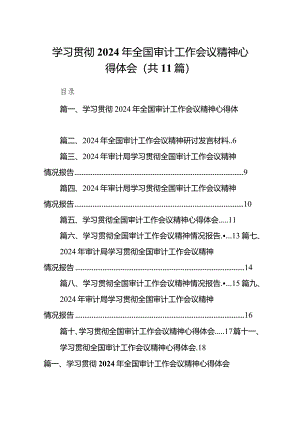 （11篇）学习贯彻2024年全国审计工作会议精神心得体会合辑.docx