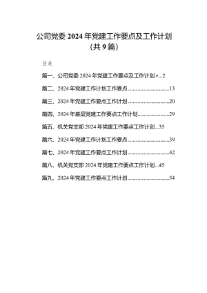 公司党委2024年党建工作要点及工作计划（共9篇）.docx
