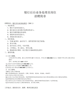 湖南银行外包岗位简章.docx