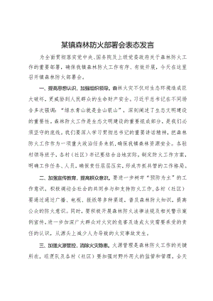 某镇在森林防火部署会上的表态发言.docx
