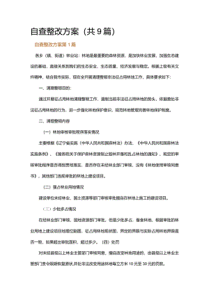 自查整改方案.docx