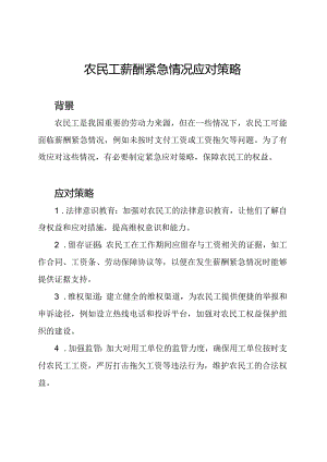 农民工薪酬紧急情况应对策略.docx