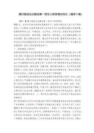 履行推进法治建设第一责任人职责情况范文(通用3篇).docx