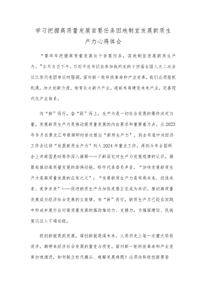 学习把握高质量发展首要任务因地制宜发展新质生产力心得体会.docx