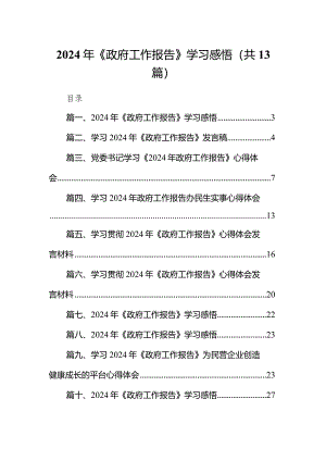 2024年《政府工作报告》学习感悟13篇（精选版）.docx