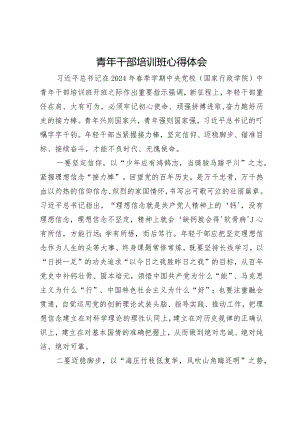 青年干部培训班心得体会.docx