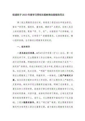 街道班子2023年度学习贯彻主题教育自查报告范文.docx