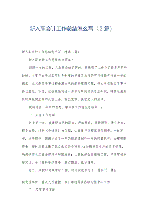 新入职会计工作总结怎么写（3篇）.docx