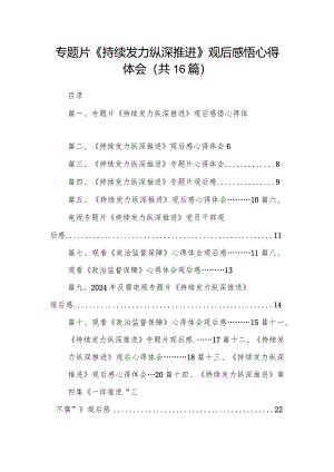 专题片《持续发力纵深推进》观后感悟心得体会（共16篇）.docx