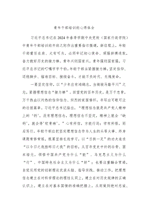青年干部培训班心得体会.docx