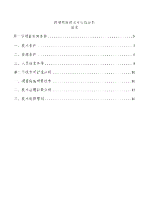 跨境电商技术可行性分析.docx