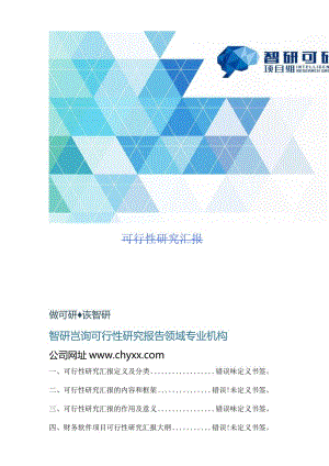 财务软件项目可行性研究评估.docx