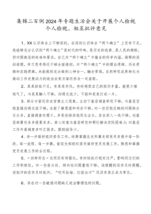 集锦二百例2024年专题生活会关于开展个人检视个人检视、相互批评意见.docx