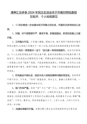 清单汇总多条2024年民主生活会关于开展对照检查相互批评、个人检视意见.docx