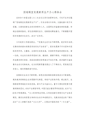 因地制宜发展新质生产力心得体会.docx