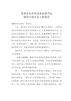 某某县长在欢送某县委书记领导干部大会上的讲话.docx