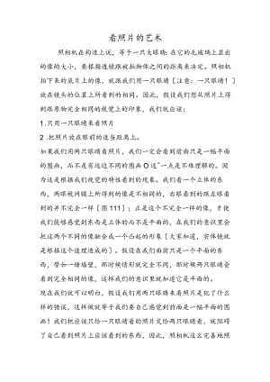 看照片的艺术.docx