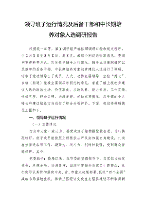 领导班子运行情况及后备干部和中长期培养对象人选调研报告.docx