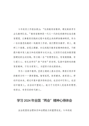 学习2024两会精神心得体会样本30篇.docx