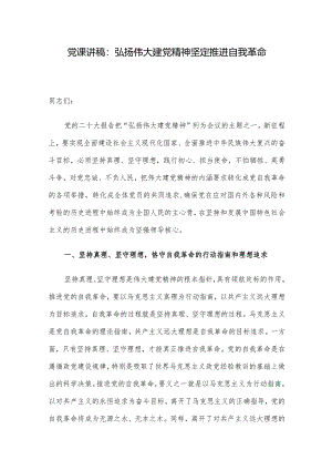 党课讲稿：弘扬伟大建党精神坚定推进自我革命.docx