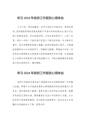 2024年两会研读《政府工作报告》心得体会二十篇.docx