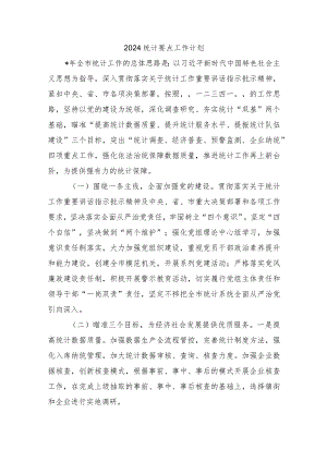 2024统计要点工作计划.docx