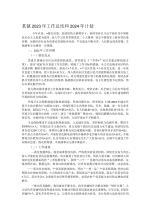 某镇2023年工作总结和2024年计划.docx